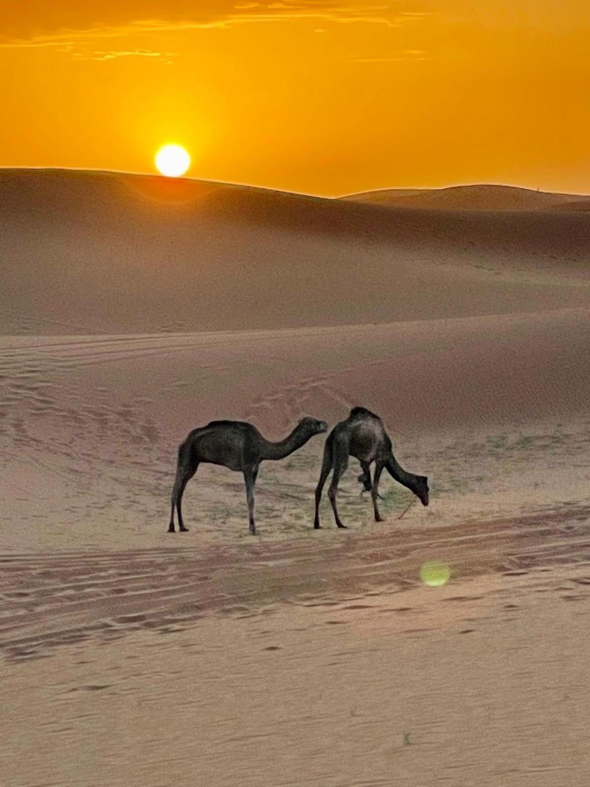 Chigaga Desert Camp M'Hamid Εξωτερικό φωτογραφία